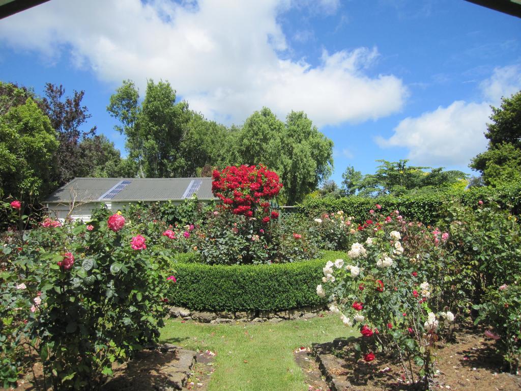 Bed and Breakfast Thyme Out Estate Halcombe Exterior foto