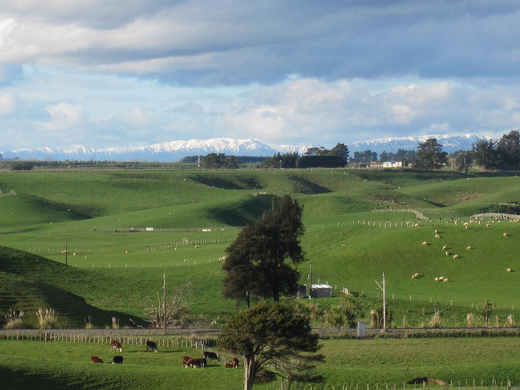 Bed and Breakfast Thyme Out Estate Halcombe Exterior foto